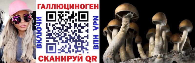 где можно купить наркотик omg ONION Псилоцибиновые грибы мухоморы Удомля